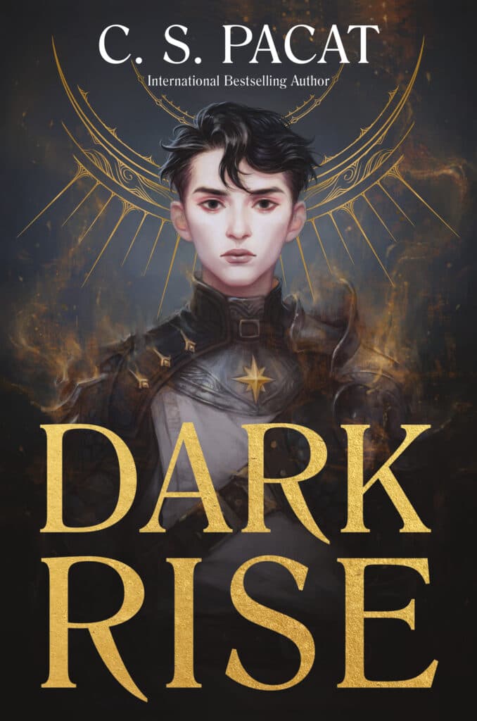 Cover of Dark rise