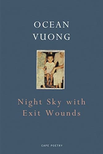 Cover of Night Sky with Exit Wounds