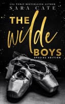 Cover of Wilde Boys