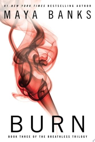 Cover of Burn
