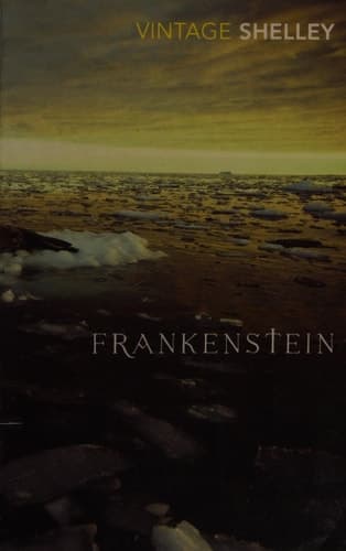 Cover of Frankenstein (Vintage Classics)