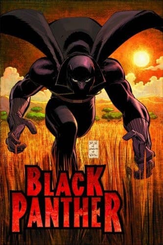 Cover of Black Panther Vol. 1