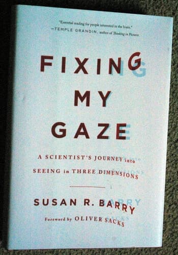 Cover of Fixing my gaze