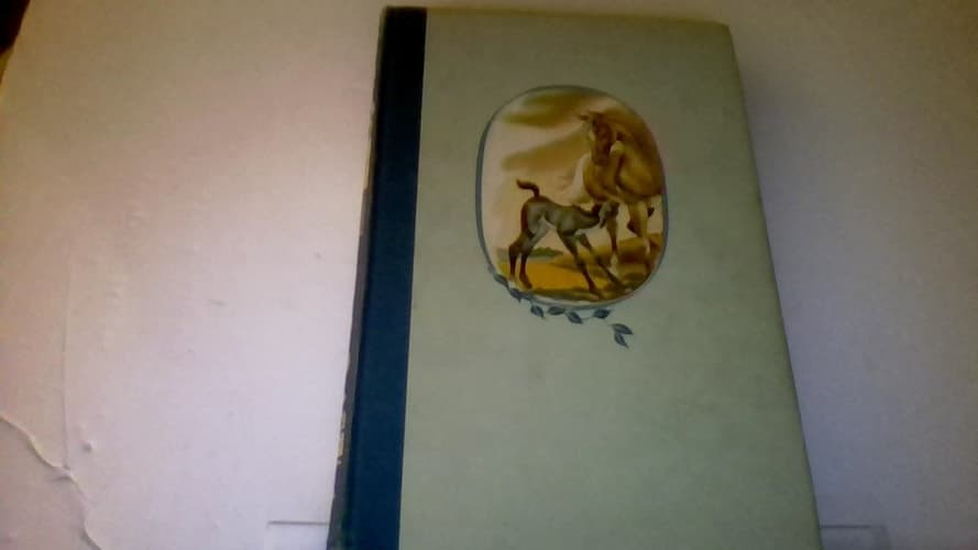 Cover of Black Beauty