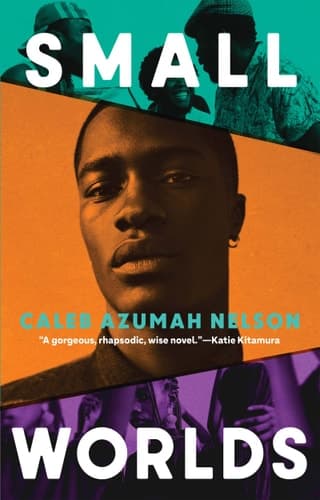 Cover of Small Worlds