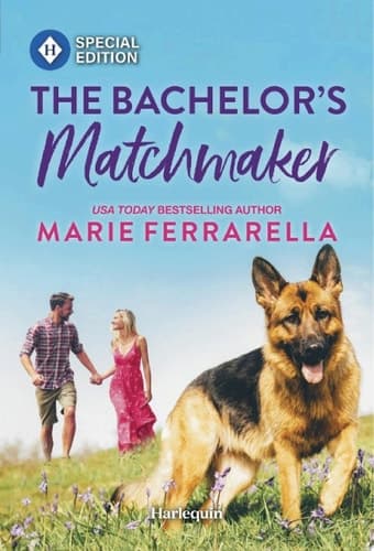 Cover of Bachelor's Matchmaker