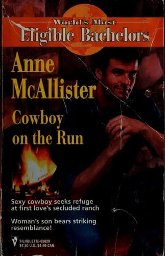 Cover of Cowboy On The Run