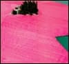 Cover of Christo: Surrounded Islands