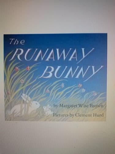 Cover of Runaway Bunny