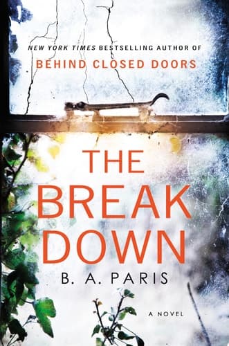 Cover of The Breakdown: Free Sample