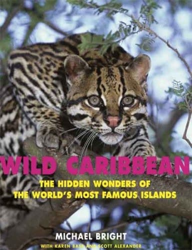 Cover of Wild Caribbean