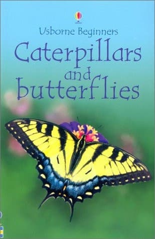 Cover of Caterpillars and Butterflies (Beginners)