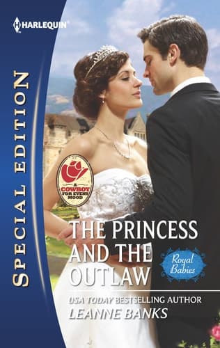 Cover of The princess and the outlaw