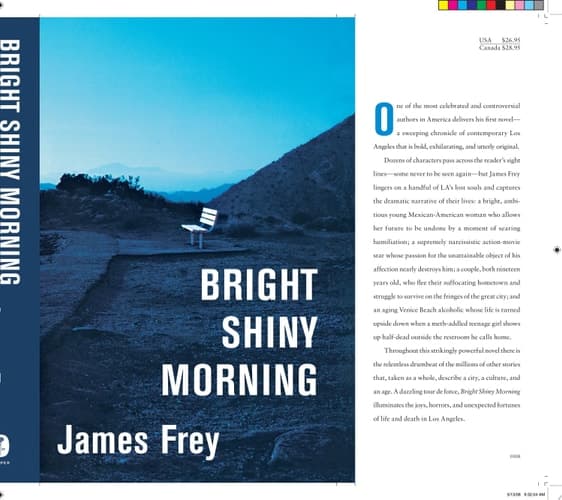 Cover of Bright shiny morning