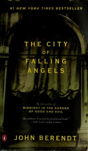 Cover of The city of falling angels