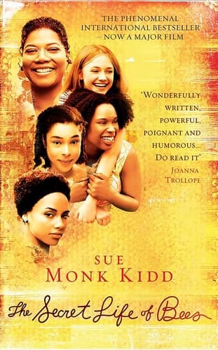 Cover of Secret Life of Bees