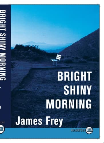 Cover of Bright Shiny Morning LP