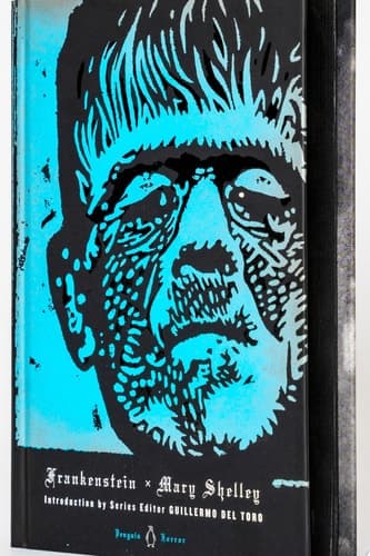 Cover of Frankenstein or The modern Prometheus