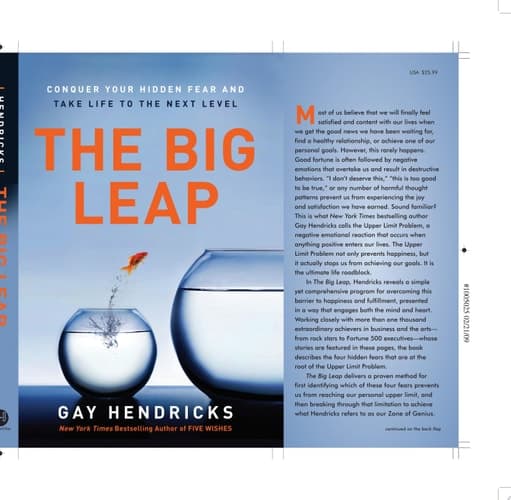 Cover of The big leap