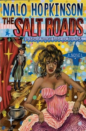 Cover of Salt Roads