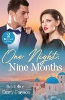 Cover of One Night, Nine Months