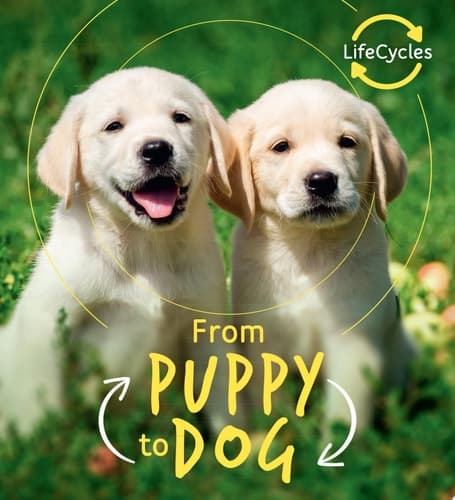 Cover of Lifecycles - Pup to Dog
