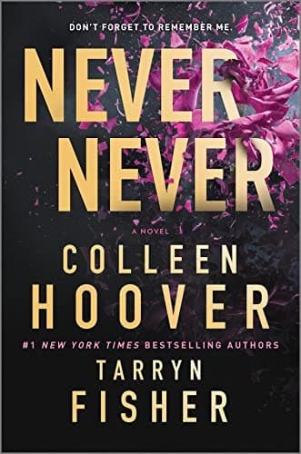 Cover of Never Never A Novel