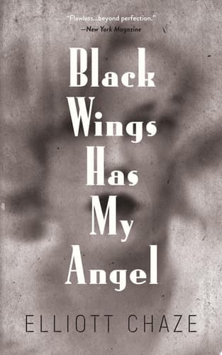 Cover of Black Wings Has My Angel
