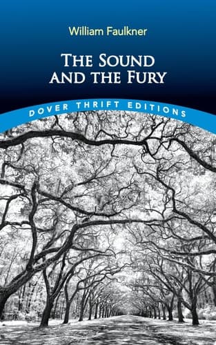 Cover of Sound and the Fury