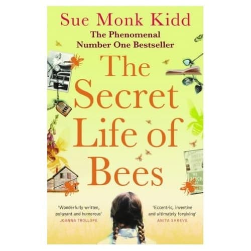 Cover of The secret life of bees